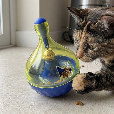 chat intrigue par son jouet pour chat qui distribue des croquettes