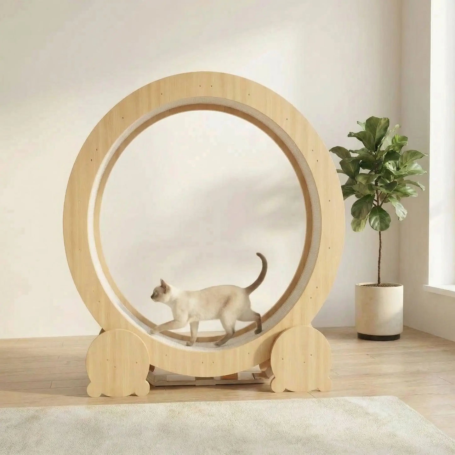 chat qui se maintient en forme grace a sa roue chat en bois naturel