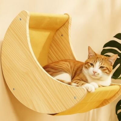 chat roux qui se repose grace a son nouvel arbre a chat mural en forme de lune