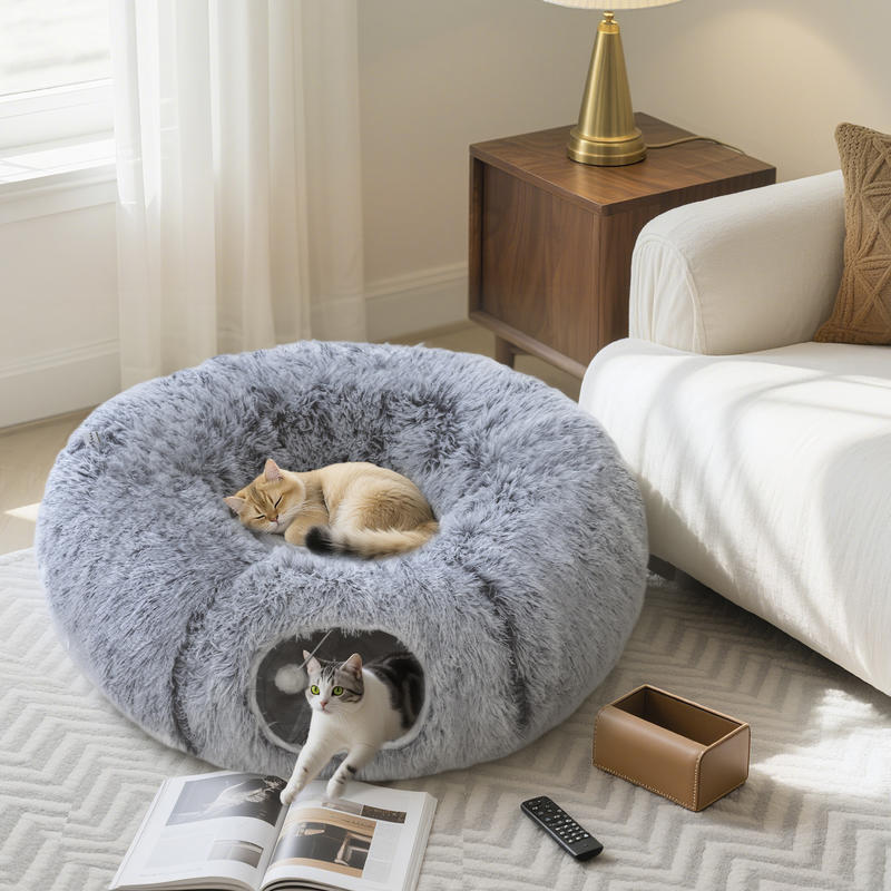chats installes confortablement dans leur nouveau tunnel chat au salon