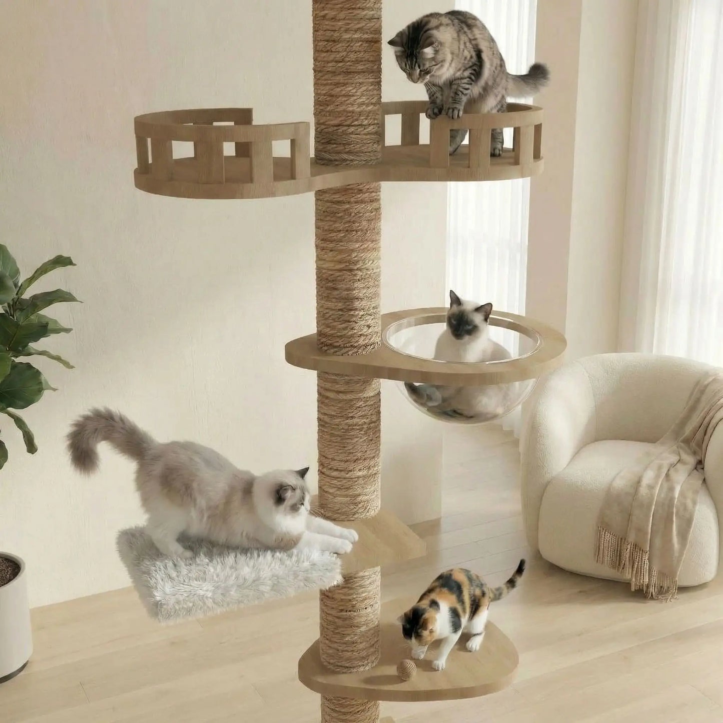 arbre a chat bois massif a differents niveaux enroule de corde