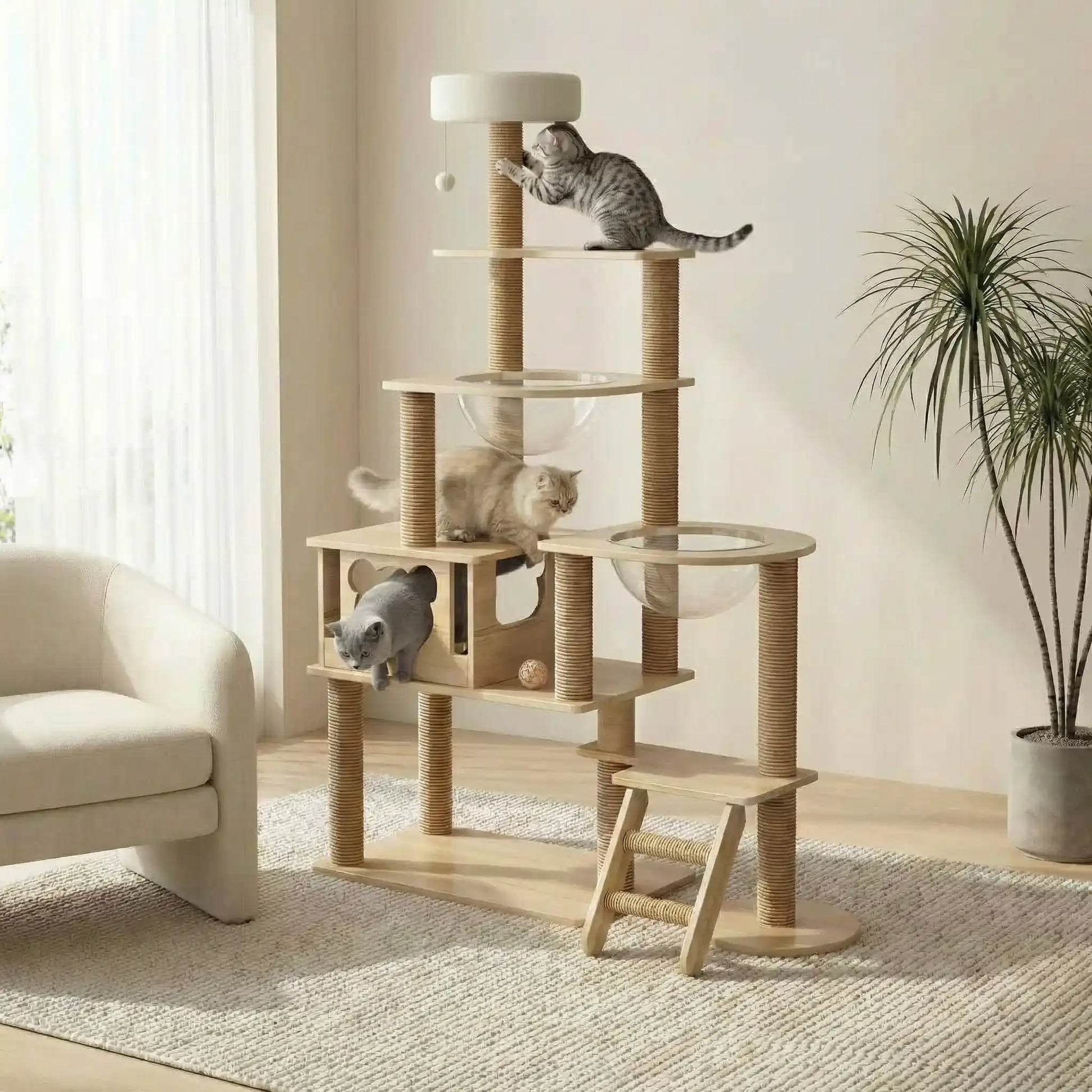arbre a chat en bois a multiples plateformes