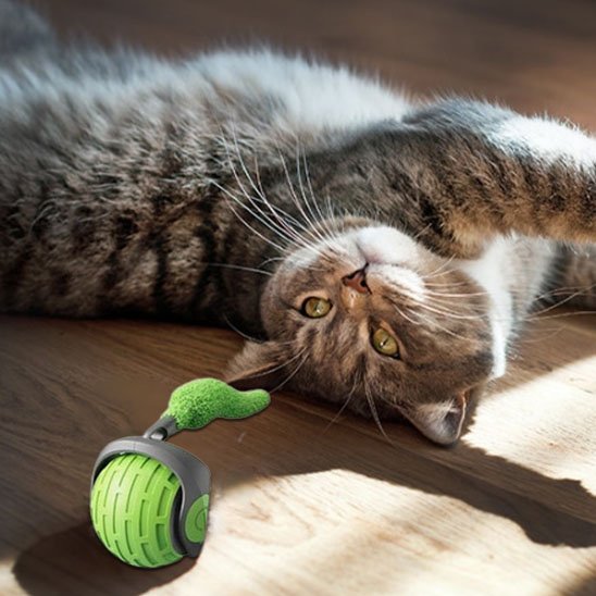 Chat avec son jouet chat interactif-vert