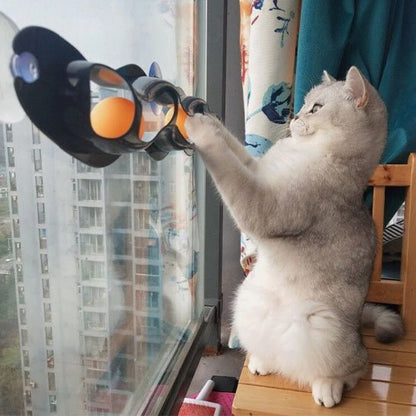 Chat blanc debout pour jouer avec les balles de son jouet pour chat interactif