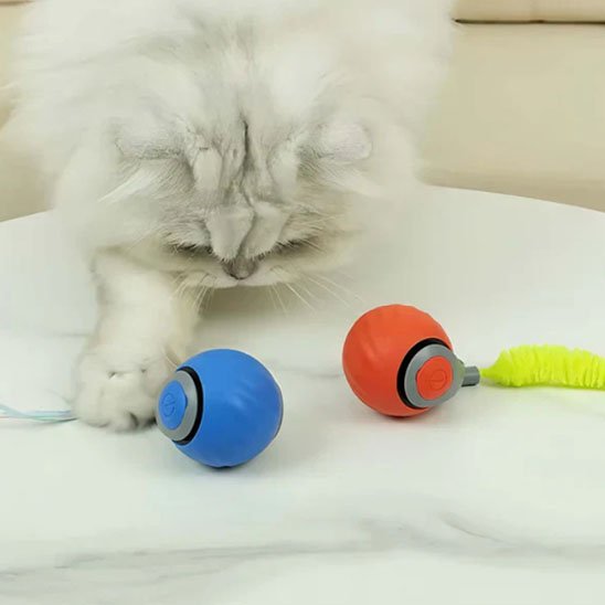 Chat blanc qui attrape son nouveau jouet interactif