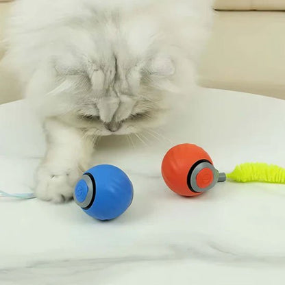 Chat blanc qui attrape son nouveau jouet interactif