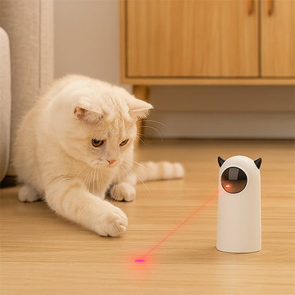 Chat blanc qui chasse grace a son laser chat