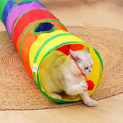 chat blanc qui joue avec la balle suspendue de son tunnel pour chat
