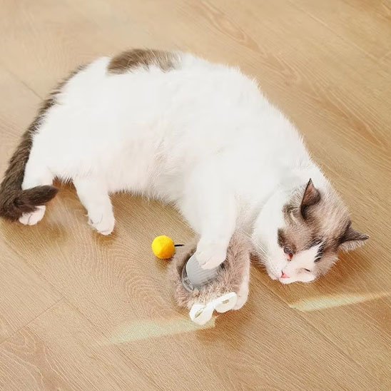 Chat blanc qui joue avec son jouet chat interactif
