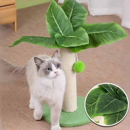 Chat blanc qui se frotte a son griffoir chat
