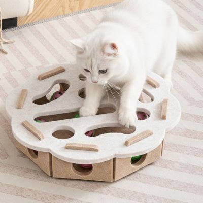 Chat blanc stimule grace a son jouet pour chat