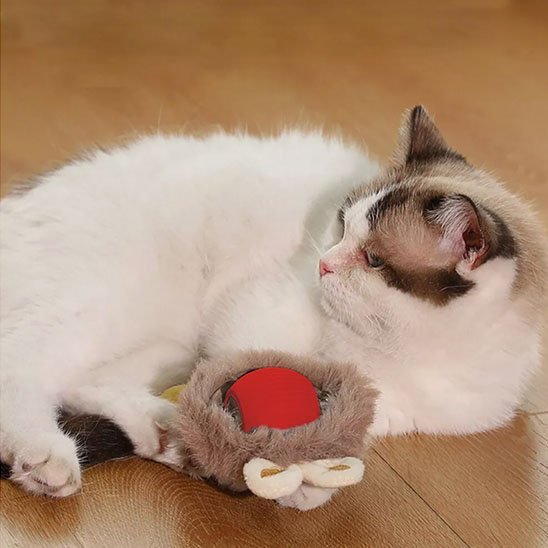 Chat couche avec jouet chat interactif rouge