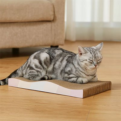 Chat endormi sur son nouveau griffoir en carton pour chat