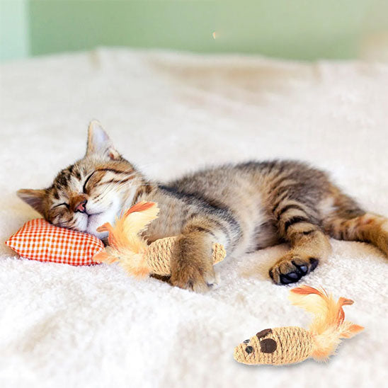 chat endormie avec ses jouets pour chat souris en corde