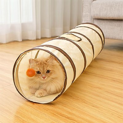 chat installe dans son nouveau tunnel pour chat beige