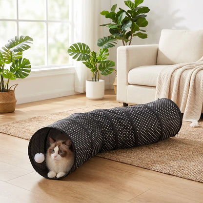 chat installe dans son tunnel chat avec balle blanche suspendue