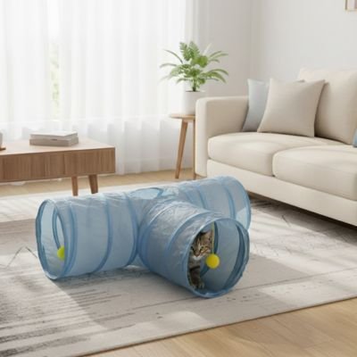 chat installe dans son tunnel pour chat au salon
