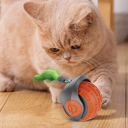 Chat intrigue par son nouveau jouet chat interactif orange