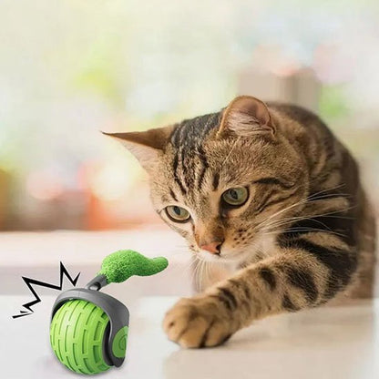 Chat intrigue par son nouveau jouet chat interactif vert