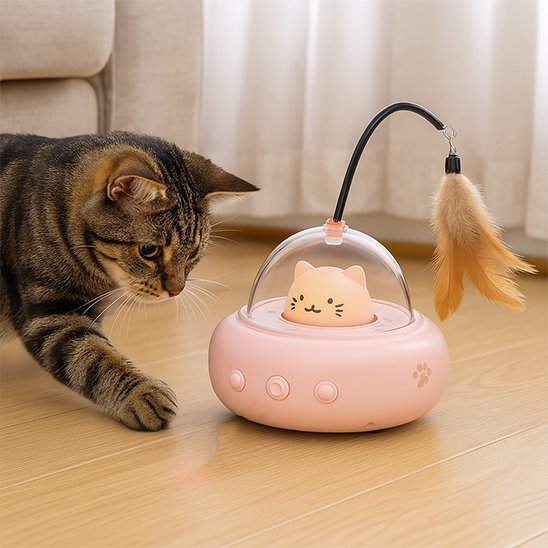 Chat intrigue par son nouveau jouet pour chat interactif