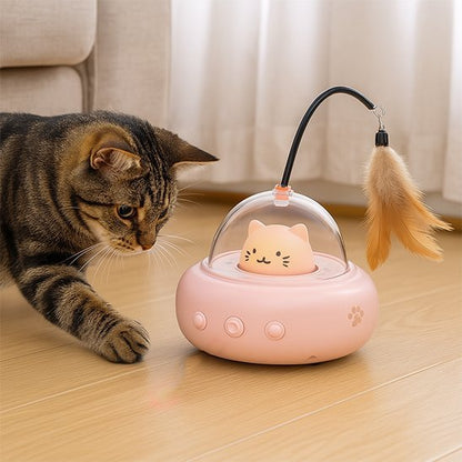 Chat intrigue par son nouveau jouet pour chat interactif