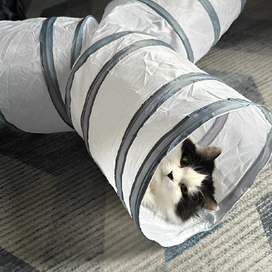 chat noir et blanc qui joue grace a son tunnel chat a differentes ouvertures