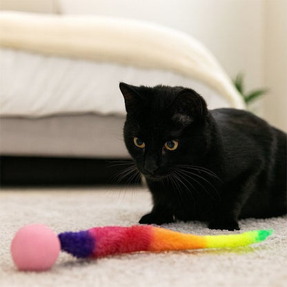 Chat noir intrigue par le jouet chat interactif