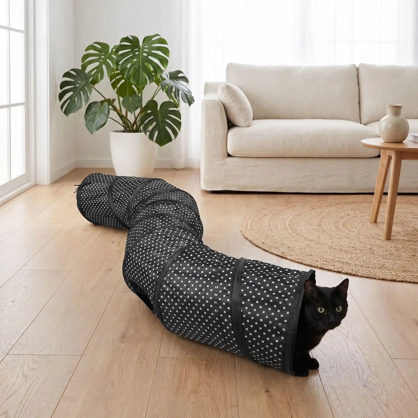 chat noir qui decouvre son nouveau tunnel chat en forme de s