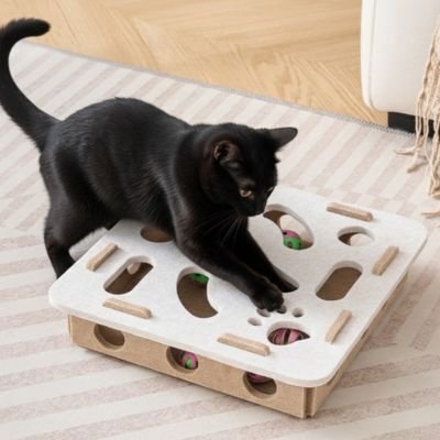 Chat noir qui joue avec son jouet pour chat