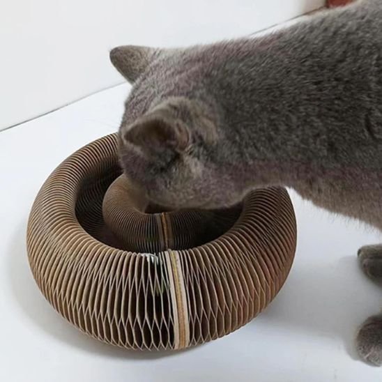 Chat qui abaisse sa tete vers son griffoir pour chat