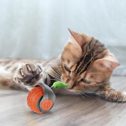 Chat qui chasse grace a son jouet chat interactif orange