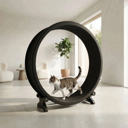 chat qui court sur la roue chat elegante noir