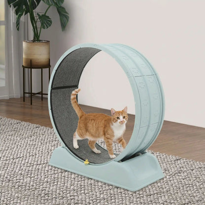 chat qui court sur le tapis griffoir de sa roue chat