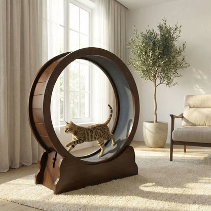 chat qui court sur sa roue pour chat en bois massif