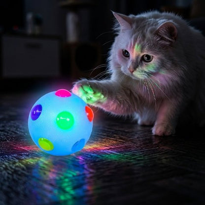 chat qui decouvre sa nouvelle balle pour chat bleue qu fait de la lumiere