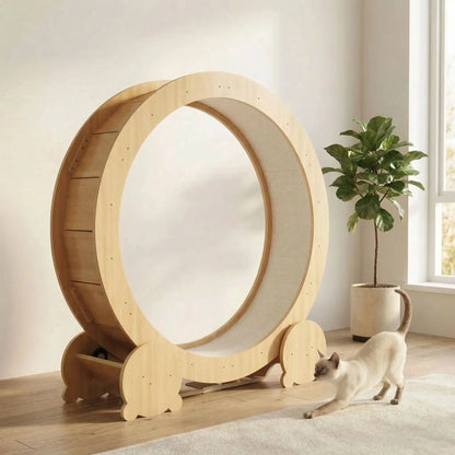 chat qui decouvre sa roue chat en bois avec tapis griffoir dedans