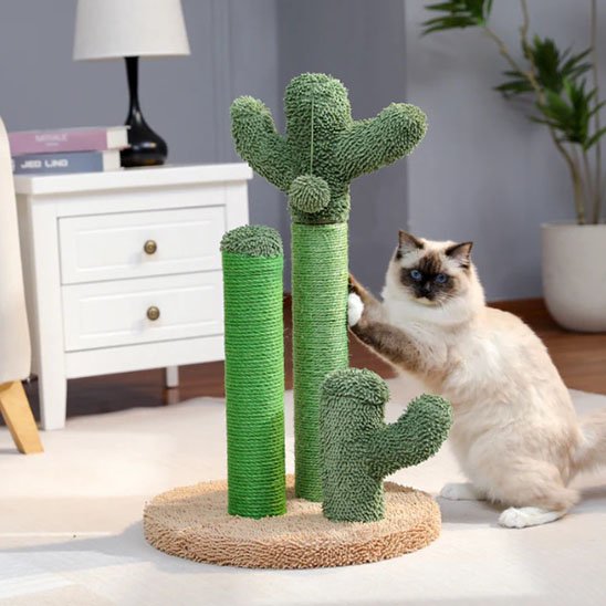 Chat qui decouvre son nouveau griffoir chat dans le salon