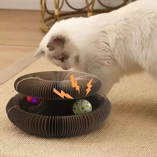 Chat qui decouvre son nouveau griffoir pour chat