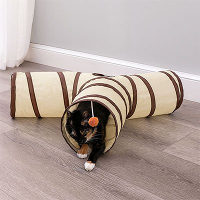 chat qui decouvre son nouveau tunnel pour chat beige et marron