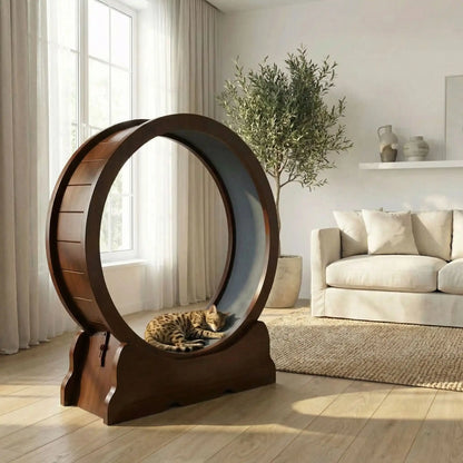 chat qui dort sur le tapis de sa roue pour chat