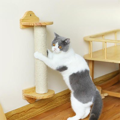 chat qui fait ses griffes sur griffoir avec corde arbre a chat blanche