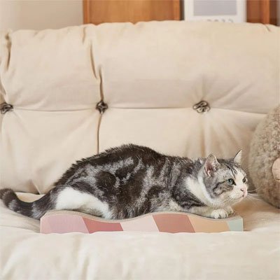 Chat qui fait ses griffes sur griffoir en carton pour chat sur le canape
