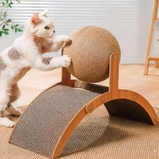 Chat qui fait ses griffes sur le boule tournante de son griffoir