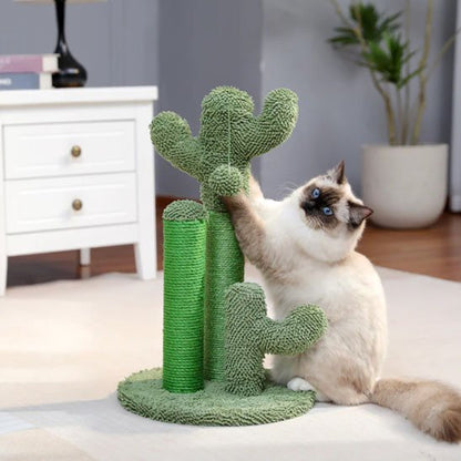 Chat qui fait ses griffes sur le griffoir chat cactigriffe