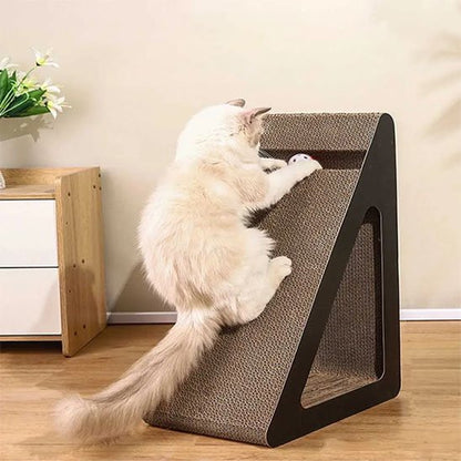 Chat qui joue avec la balle de son griffoir chat