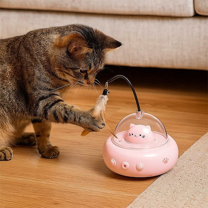 Chat qui joue avec la plume de son jouet pour chat interactif