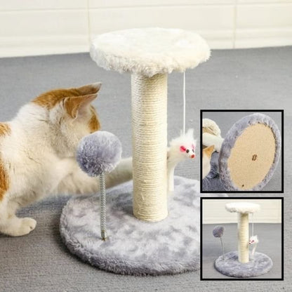 Chat qui joue avec la souris de son griffoir chat