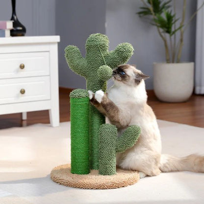 Chat qui joue avec son griffoir chat vert naturel