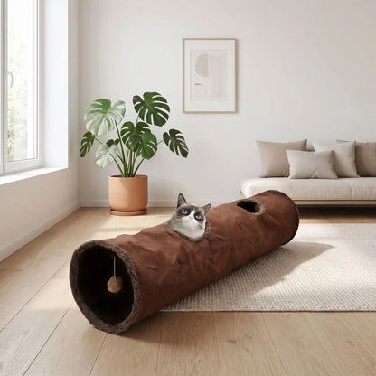 chat qui joue dans son nouveau tunnel chat au salon
