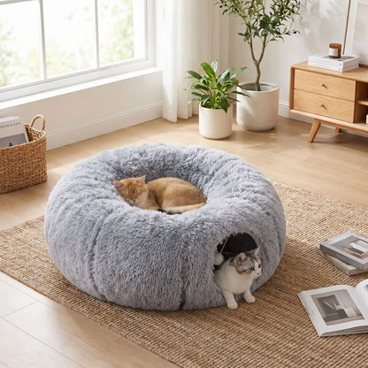 chat qui joue dans son tunnel chat modulable